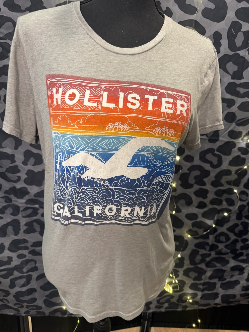 Hollister Gray Tee with Sunset Stripe Graphic